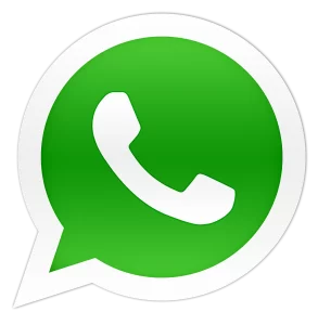 whatsapp-logo-icone-293x300